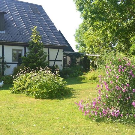 Byens Rareste B&B Harlev  Экстерьер фото