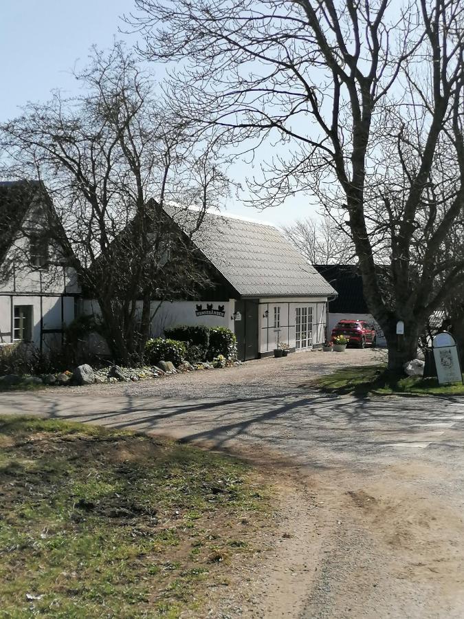 Byens Rareste B&B Harlev  Экстерьер фото